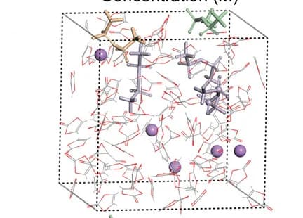 Open access visualization of Chemical Structure, MD simulations, VC-based electrolytes, Snapshots