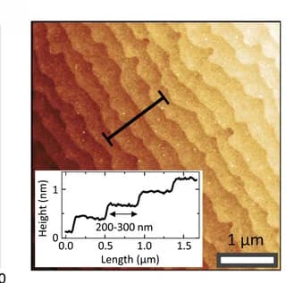 Open access visualization of Microscopy, Line Plot, AFM, NdNiO3 Thin Film, NdGaO3