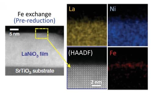 Open access visualization of Microscopy, HAADF STEM Image, EDS Maps, EELS Maps, Fe-exchanged LaNiO3 Film
