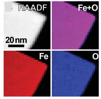 Open access visualization of Microscopy, HAADF-STEM, EELS maps
