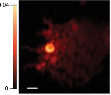 Open access visualization of Microscopy, STXM, Composition Maps, PTQ10, PC61BM