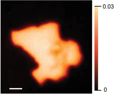 Open access visualization of Heatmap, STXM, Composition Maps, PTQ10, PC61BM