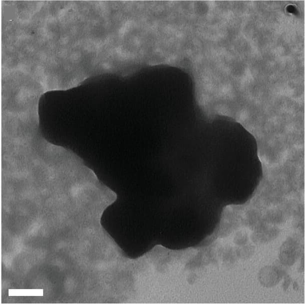 Open access visualization of Microscopy, STXM, Composition Maps, PTQ10, PC61BM