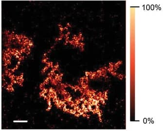 Open access visualization of Microscopy, STXM, Composition Map, Y6, Relative Concentration
