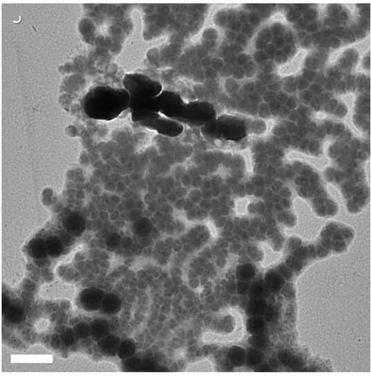 Open access visualization of Microscopy, STXM, Composition Map, TEM, Thermal Treatment