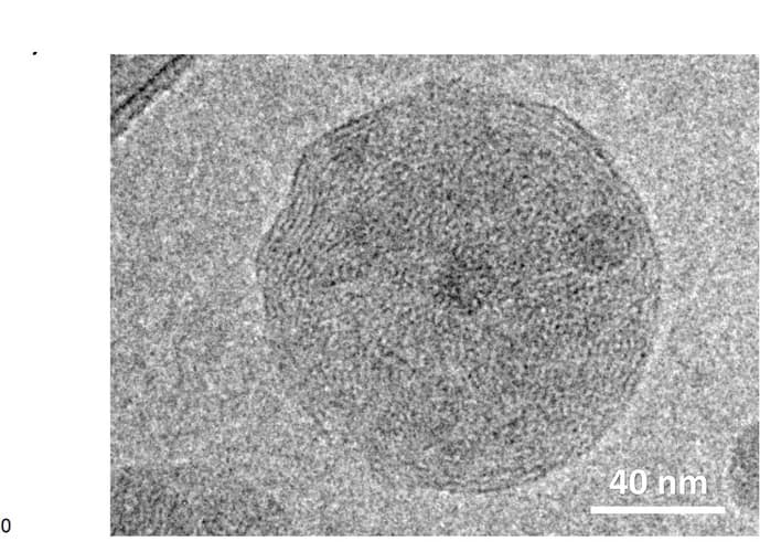 Open access visualization of Microscopy, Cryo-TEM Images, Unannealed PTQ10:Y6 Nanoparticles, Crystalline Domains, Y6
