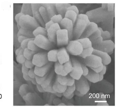 Open access visualization of Microscopy, SEM