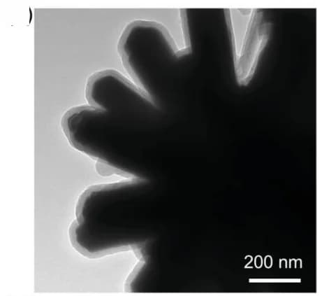 Open access visualization of Microscopy, TEM images