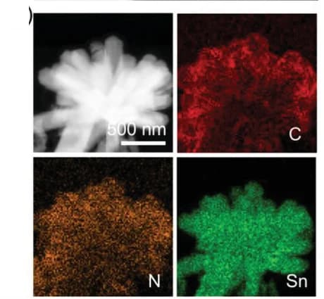 Open access visualization of Microscopy, STEM, EDX mapping images, Sn@NC composite