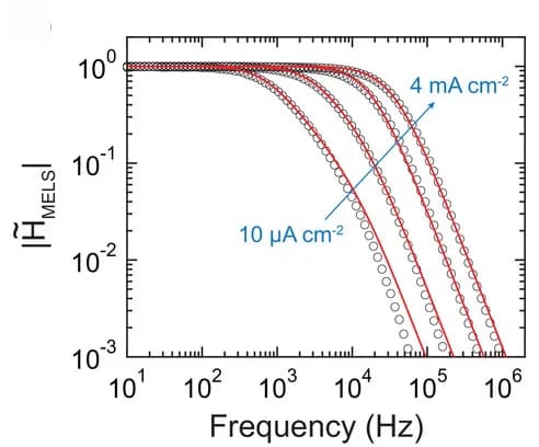 Open access visualization of Line Plot, Scatter Plot, MELS Response, Bias, Low Frequency