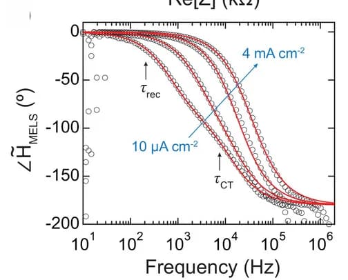 Open access visualization of Line Plot, Scatter Plot, Phase Angle, MELS Response, High Frequency