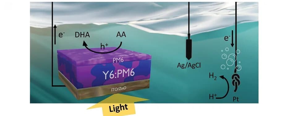 Open access visualization of Illustration, Workflow, Photoelectrochemical Cell, Photoanode, Electrode