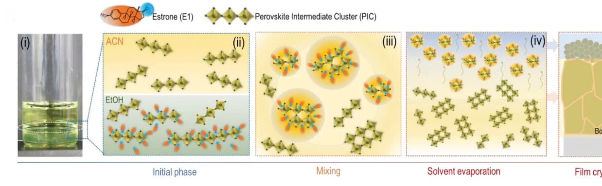 Open access visualization of Workflow, Illustration, Acetonitrile, Methylamine, Ethanol
