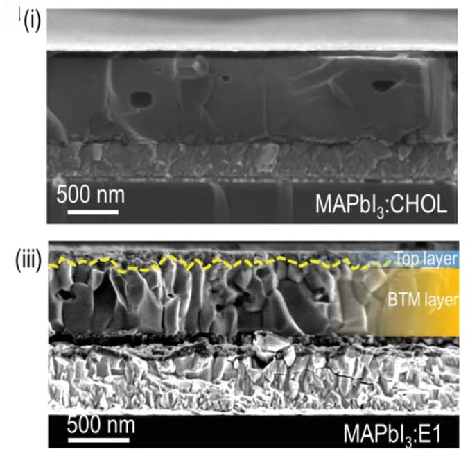 Open access visualization of Microscopy, SEM, MAPbI3, Cholesterol, beta-Estradiol