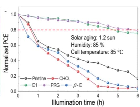 Open access visualization of Line Plot, PCE, Illumination Time, Solar Cells, Biomolecules