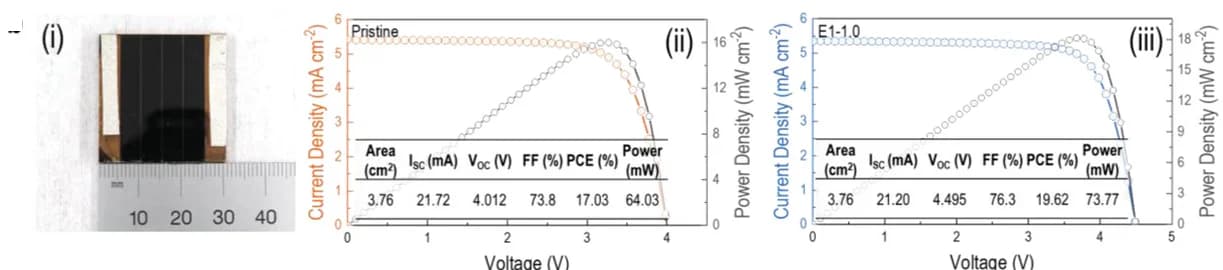 Open access visualization of Line Plot, Photo, Table Image, Minimodule, Photo-image
