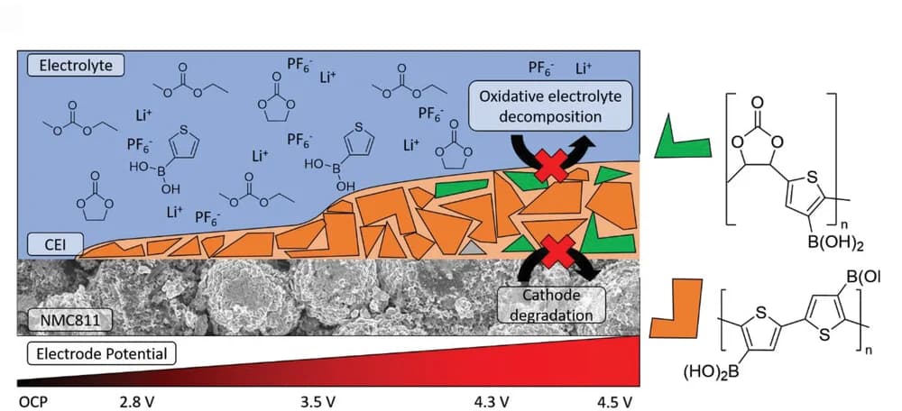 Open access visualization of Illustration, Microscopy, Schematic Overview, Potential Dependence, CEI Formation