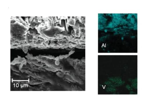 Open access visualization of Microscopy, SEM images, Electrode, Interfacial layer, EDX mapping