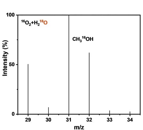 Open access visualization of Bar Plot, GC-MS, CH3OH, Pd-ZnTi-LDH-A200, H218O