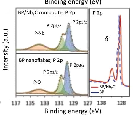 Open access visualization of Line Plot, Density Plot, XPS Spectra, P 2p, BP/Nb2C Composite