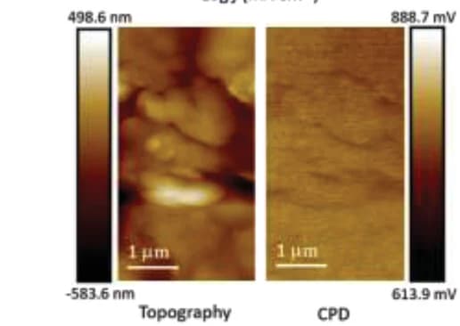 Open access visualization of Microscopy, Topographic AFM images, CPD images, Nb2C nanosheets