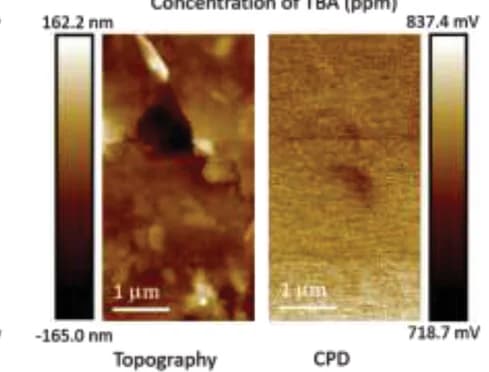 Open access visualization of Microscopy, BP/Nb2C composite