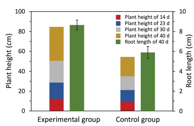 Open access visualization of Stacked Bar Plot, Error Bars, Plant Height, Root Length, Tomato Seedlings