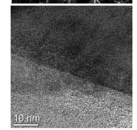 Open access visualization of Microscopy, HR-TEM, Cathode Particles, Pristine NMC811