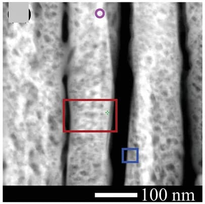 Open access visualization of Microscopy, HRTEM, FeNiCoOx, Ta3N5-NRs