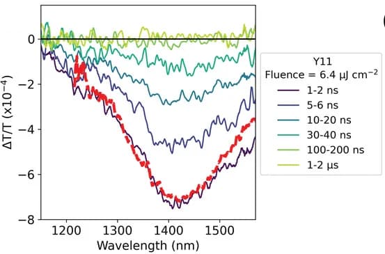 Open access visualization of Line Plot, Nanosecond Transient Absorption, Y11, IR Spectral Region, Femtosecond Transient Absorption Spectroscopy