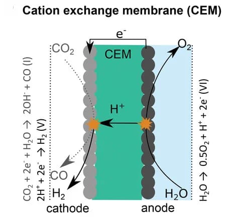 Open access visualization of Workflow, Illustration, Cation Exchange Membrane, CEM