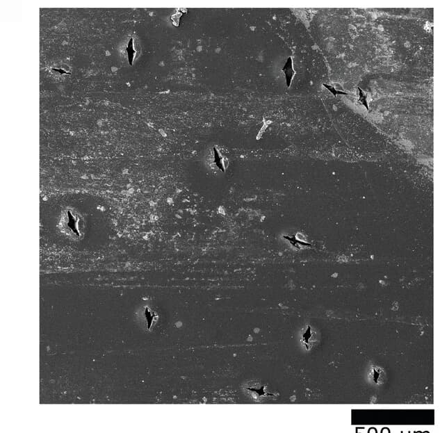 Open access visualization of Microscopy, Electron Micrograph, Perforated Membrane, Anion Exchange Membranes