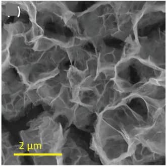 Open access visualization of Microscopy, SEM, NiMox/Ni foam