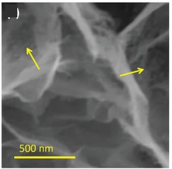 Open access visualization of Microscopy, SEM, NiMox/Ni foam