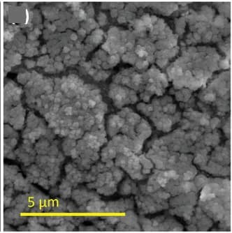 Open access visualization of Microscopy, SEM, NiFe(OH)x/Ni foil