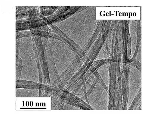 Open access visualization of Microscopy, TEM Images, Gel-Tempo