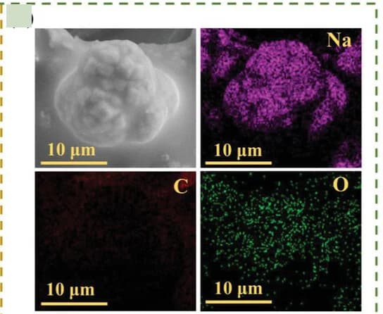 Open access visualization of Microscopy, SEM, EDS, SAB, Gel-Tempo-100 cathode