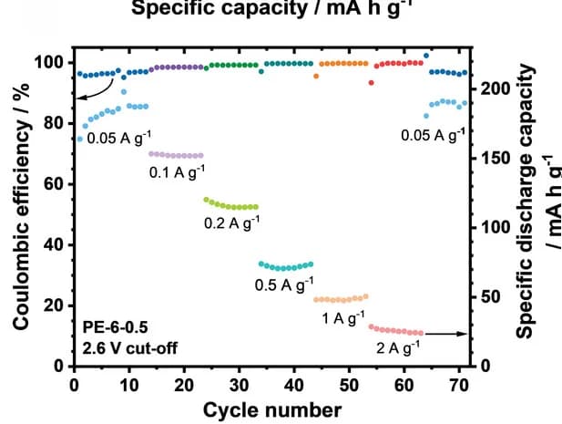 Open access visualization of Line Plot, Scatter Plot, Specific Capacities, Coulombic Efficiencies, PE-6-0.5 Al-Natural Graphite Cells