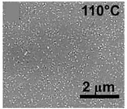 Open access visualization of Microscopy, Scanning Electron Microscopy, Annealed Films, Cu2AgBiI6 Films