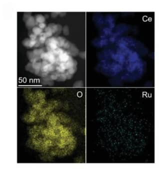 Open access visualization of Microscopy, EDS Elemental Mapping, Ru/CeO2