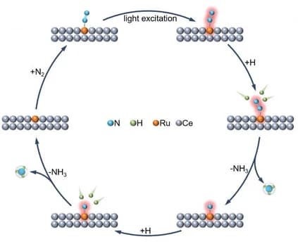 Open access visualization of Workflow, Illustration, Reaction Pathways, NH3 Synthesis, Ru/CeO2