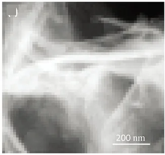 Open access visualization of Microscopy, HAADF-STEM, EDS Mapping, Ni, Fe