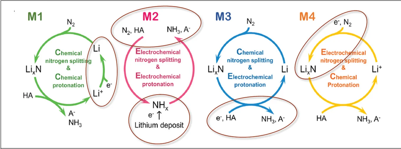 Open access visualization of Workflow, Flowchart, Illustration, Li-m E-NRR, Mechanisms