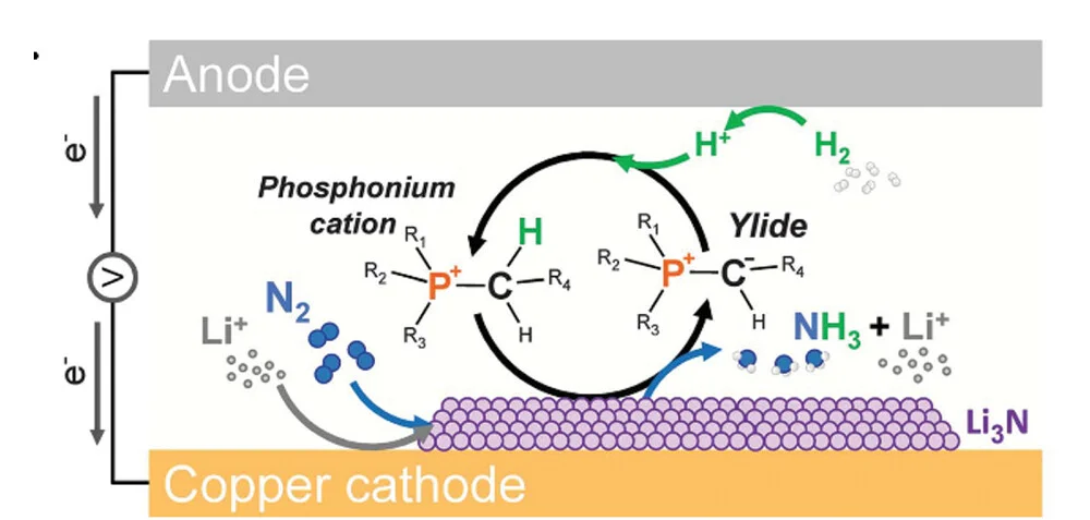 Open access visualization of Workflow, Illustration, Phosphonium Shuttle Effect, Proton Transport, Electrolytic Cell