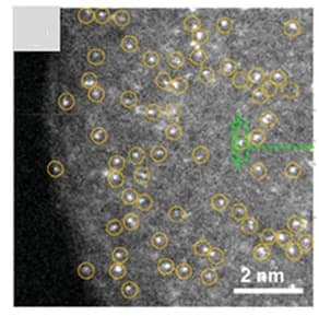 Open access visualization of Microscopy, AC-STEM, Pt/CTF Composite