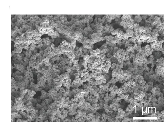 Open access visualization of Microscopy, Cross-sectional Images, Electrode, PCu, PFSA