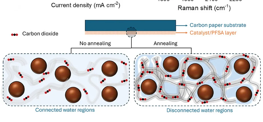 Open access visualization of Illustration, Microenvironment, Cu, PFSA