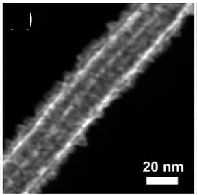 Open access visualization of Microscopy, Scanning TEM, STEM