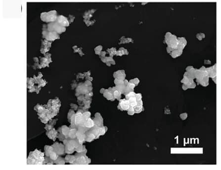 Open access visualization of Microscopy, SEM Images, Catalyst Layers, IrBK
