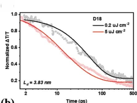Open access visualization of Line Plot, Singlet Exciton, Decay Curves, D18 Films, A4T-16 Films